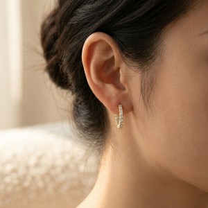 Moissanite hoop earrings