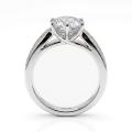 Sylphie – Moissanite Engagement Ring with Double Side Stones