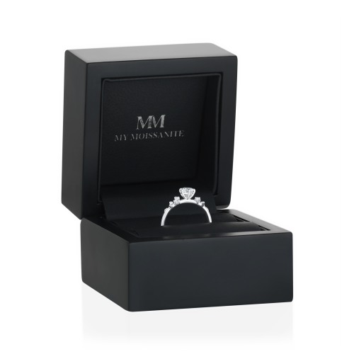 Aurora - Moissanite Ring with Minimalistic Side Stones